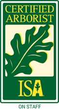 ISA Certified Arborist on Staff-green 1