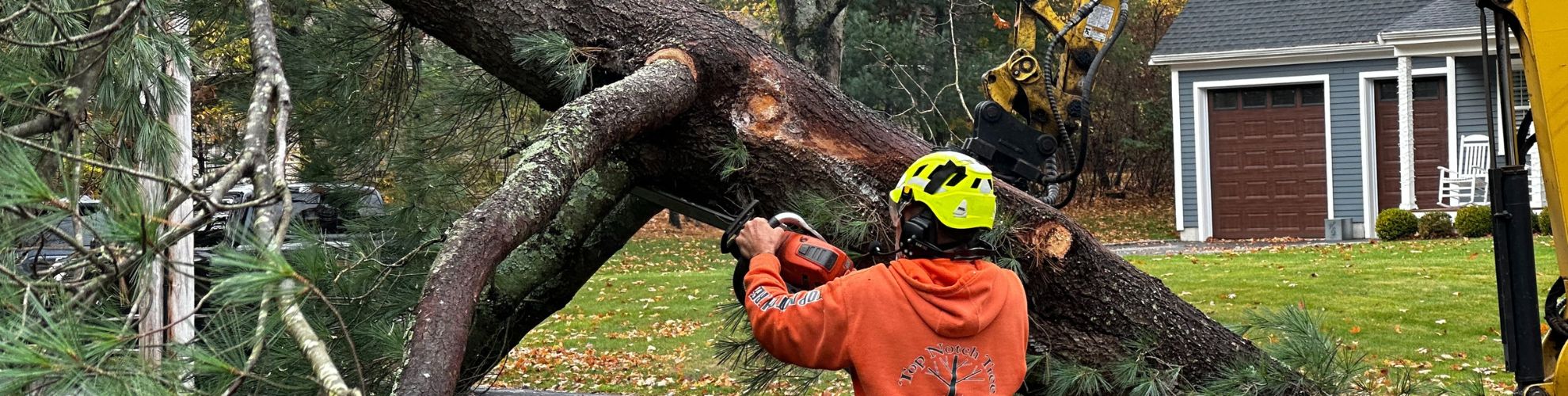 A Top Notch Tree crew member cuts up a large tree that was removed from a front yard in Rockland, MA.