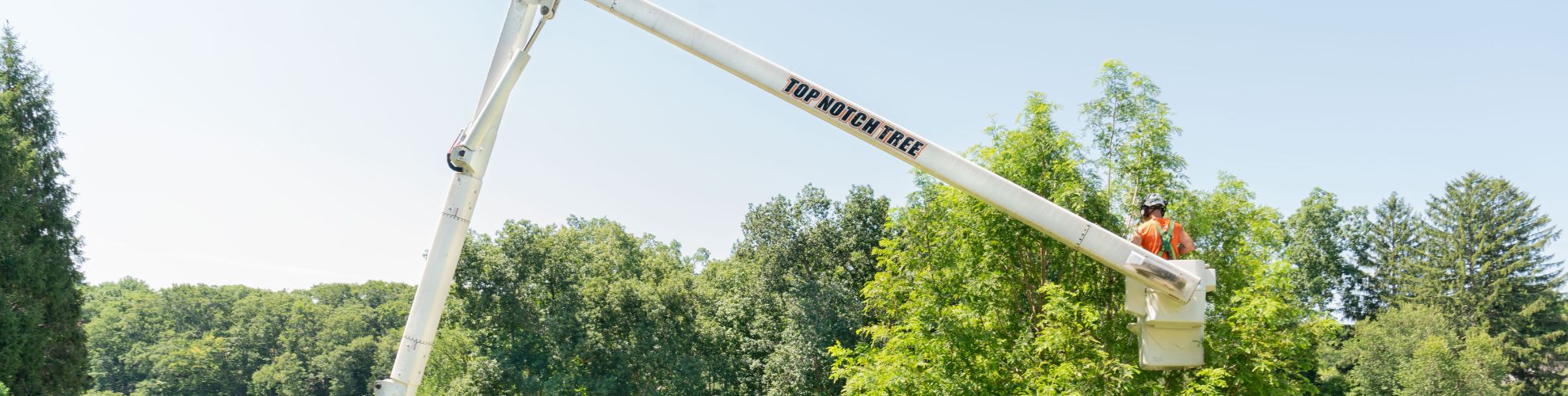 An arborist from Top Notch Tree in a bucket truck trimming in Cohasset, MA.