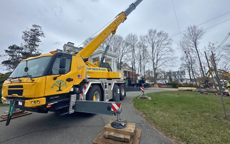 The Top Notch Tree crane removing a tree after a storm in Rockland, MA.