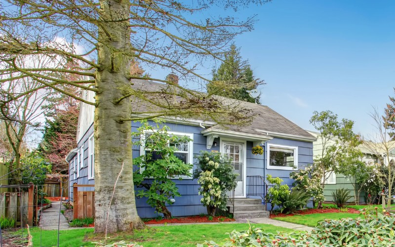 A blue house with a big tree and walkway