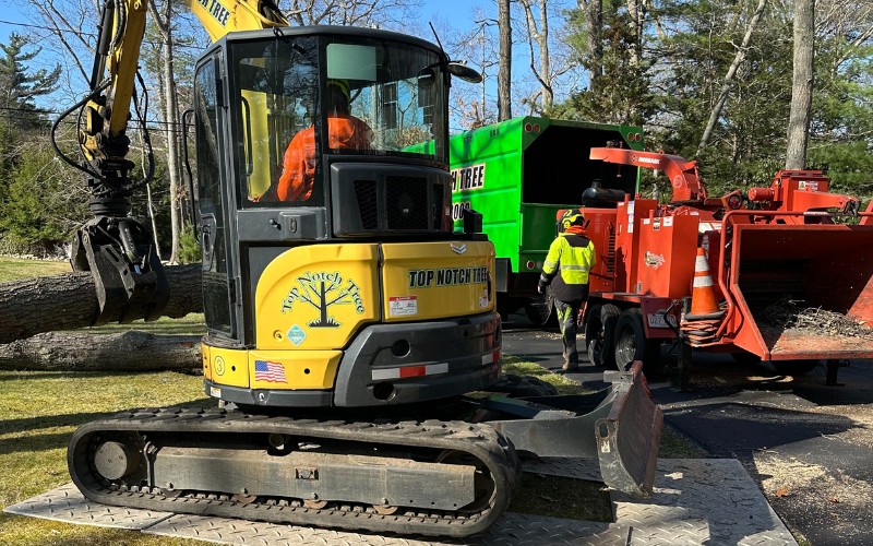 Mini excavator with hydraulic grapple lifting large logs for disposal, positioned on heavy-duty ground protection mats to prevent lawn damage during tree work.