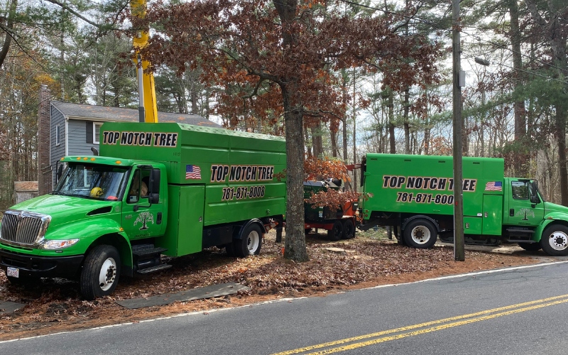 The Top Notch Tree crew and equipment working among mature trees with fall foliage in a South Shore, Massachusetts, neighborhood.