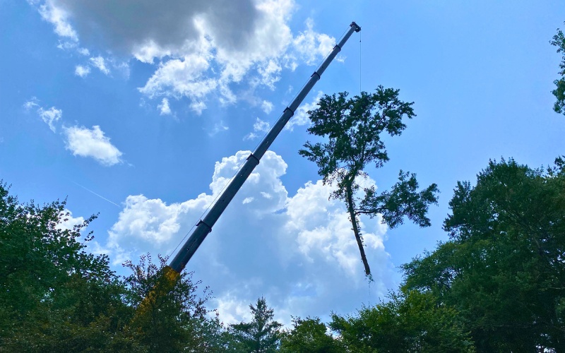 The Top Notch Tree crane safely removing a large tree section during optimal weather conditions, demonstrating professional equipment and techniques.