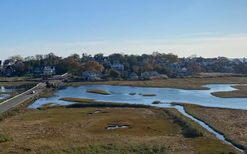 A coastal wetland marsh with water channels and South Shore homes visible in the background on a clear day.