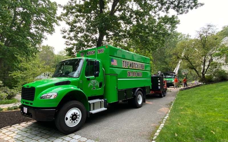 Top Notch Tree trucks and crane equipment parked on a residential driveway alongside professional tree removal equipment.