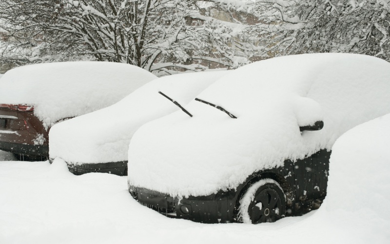 Cars completely buried under heavy snow with snow-covered trees in the background after a winter storm.