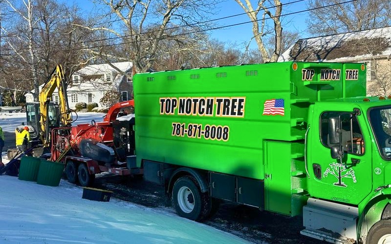 Green Top Notch Tree truck and equipment positioned on a snowy street with crew members working on storm cleanup.