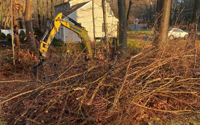 A yellow Top Notch Tree excavator clearing brush and debris from a residential property with a crew member supervising the operation near a home.