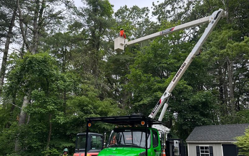 Top Notch Tree's green bucket truck with extended boom arm is positioned in a wooded residential area, with an arborist working in the aerial bucket among tall trees.