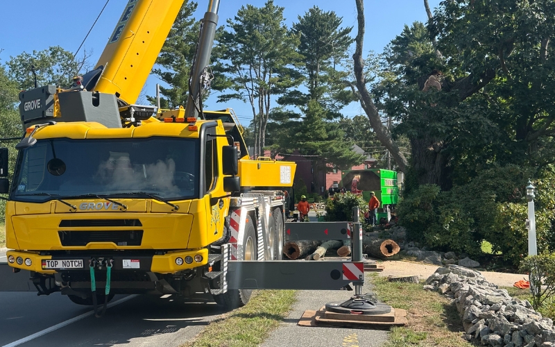 A large yellow crane truck from Top Notch Tree set up on a residential property, with crew members removing a tree. Cut log sections are staged near the crane, while a green chip truck in the background handles smaller debris.