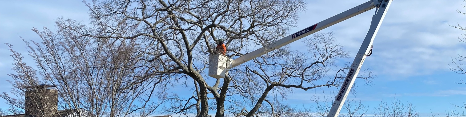 Top Notch Tree crew removing a large tree from a waterfront property using a bucket truck on top of protective mats to preserve the lawn near the water’s edge. An arborist is working from the elevated bucket while crew members in orange safety gear manage operations on the ground.
