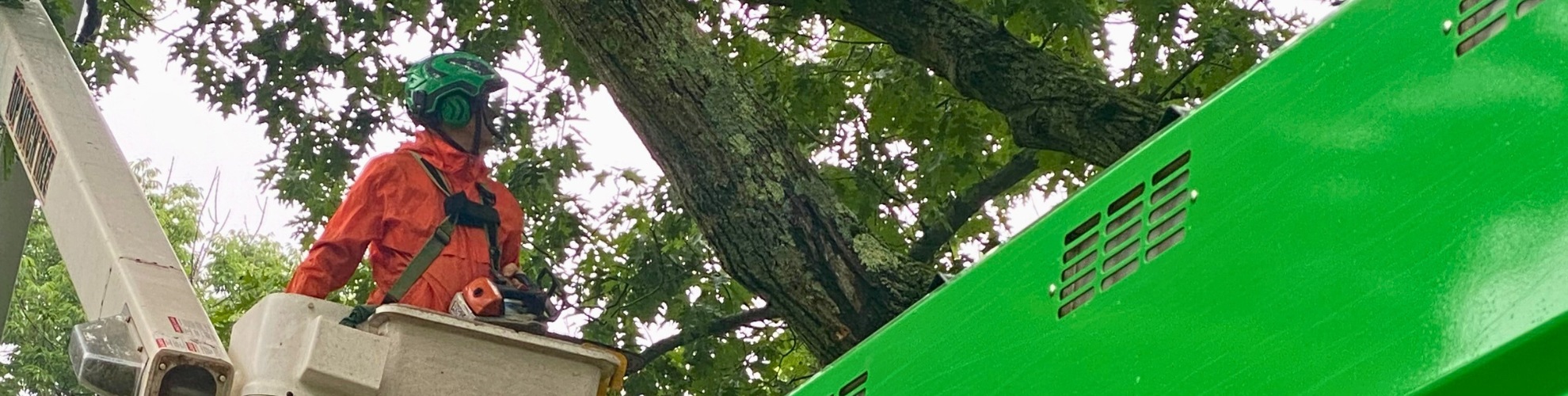 A Top Notch Tree arborist performing preventive storm pruning from bucket truck in Cohasset, MA.