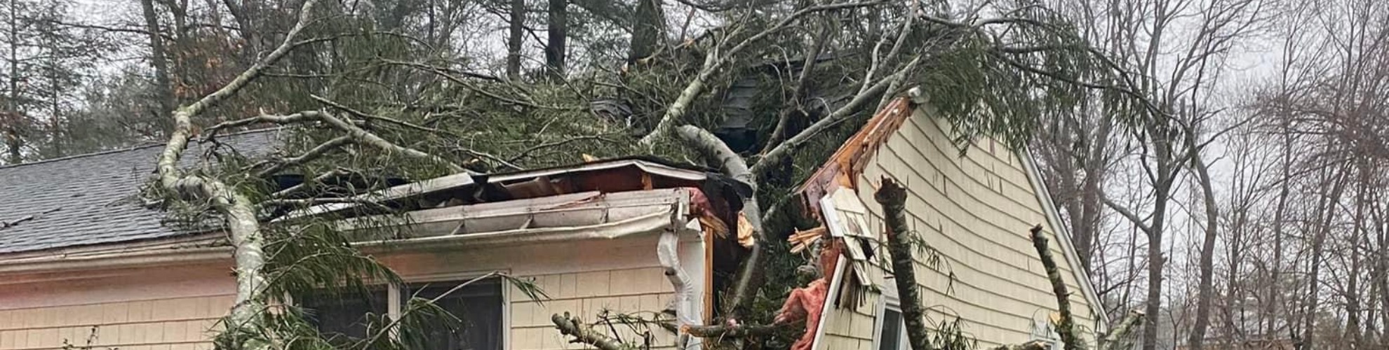 A large evergreen tree has fallen onto a house, splitting through the roof and structure, showing the severe damage that can happen after storms.