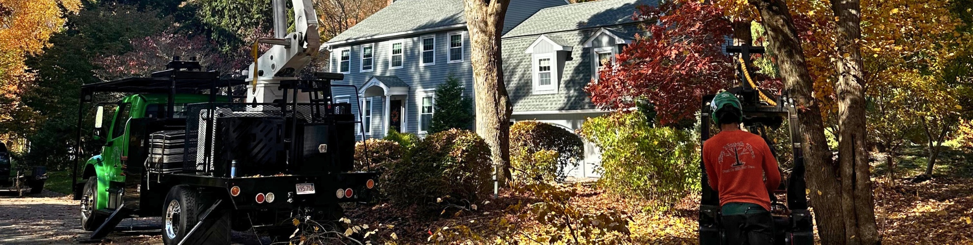 Top Notch Tree crew performing professional tree maintenance near a classic New England colonial home surrounded by vibrant fall foliage in a South Shore Massachusetts neighborhood.
