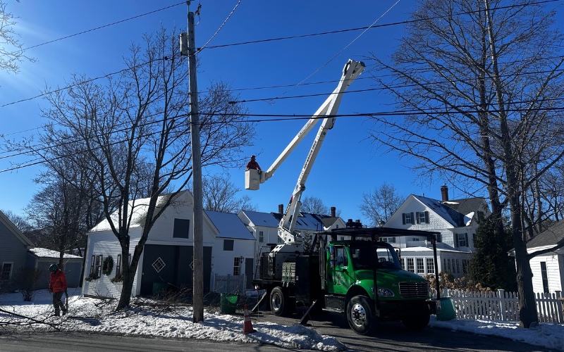 A Certified Arborist in a bucket truck performing precise crown raising cuts on mature tree branches to create proper clearance for insurance compliance.