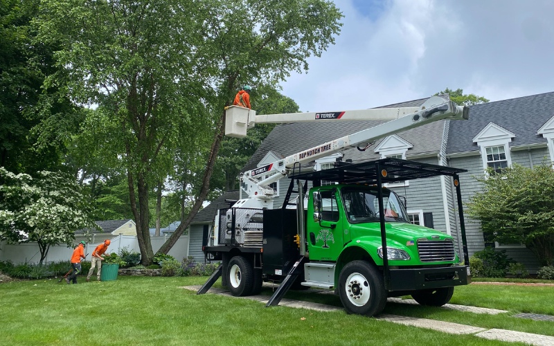 The Top Notch Tree service truck with an extended boom working on trees near a South Shore residential property, demonstrating professional equipment and techniques.