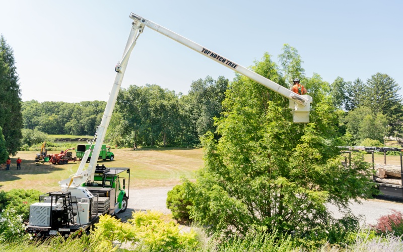 The Top Notch Tree crew performing large-scale tree pruning with bucket truck and chipper on the South Shore of Massachusetts.