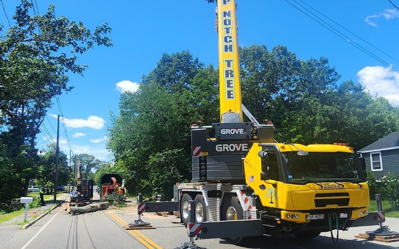 Top Notch Tree's yellow crane truck positioned on a residential street, displaying the company name prominently on the boom arm, ready for large tree removal work in a neighborhood on the South Shore.