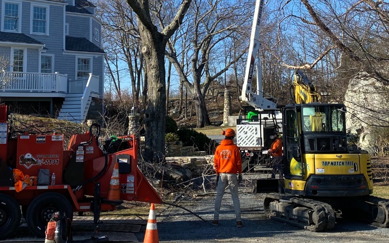 Top Notch Tree crew removing a large tree from a waterfront property using a bucket truck on top of protective mats to preserve the lawn near the water’s edge. An arborist is working from the elevated bucket while crew members in orange safety gear manage operations on the ground.