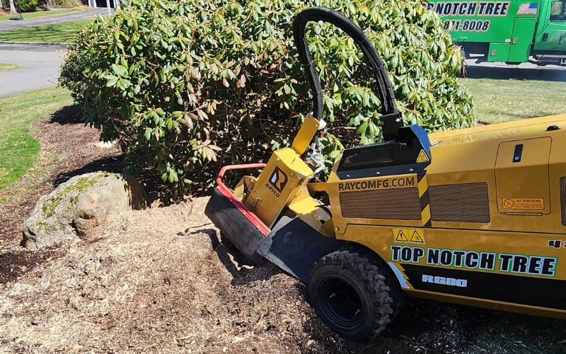 A stump grinder is grinding a stump in the middle of a yard, leaving behind large ruts in the ground, which will later be filled with debris.