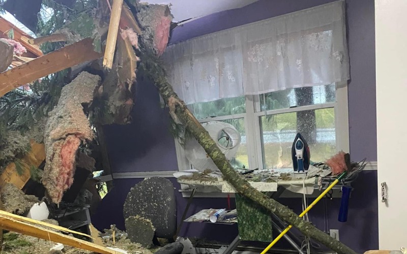 A large tree branch has crashed through the roof of a home office, with insulation and roofing debris covering the desk and floor.