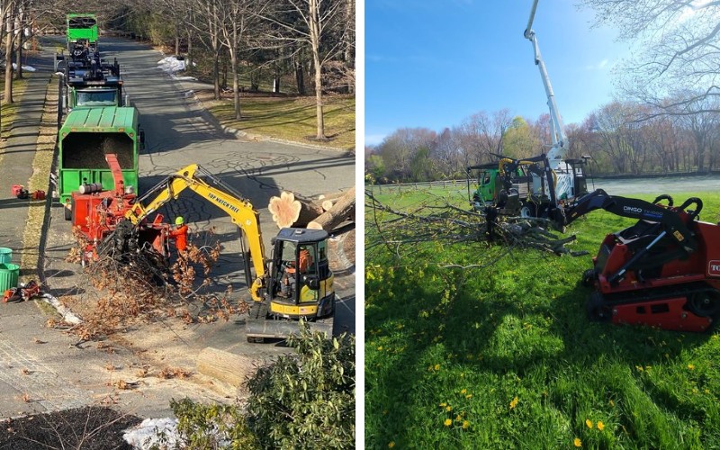 A Top Notch Tree crew member feeds branches into a wood chipper beside a green TNT chip truck and a yellow excavator on a residential street, and a compact skid steer drives across a grassy lawn carrying brush during a post-removal cleanup.
