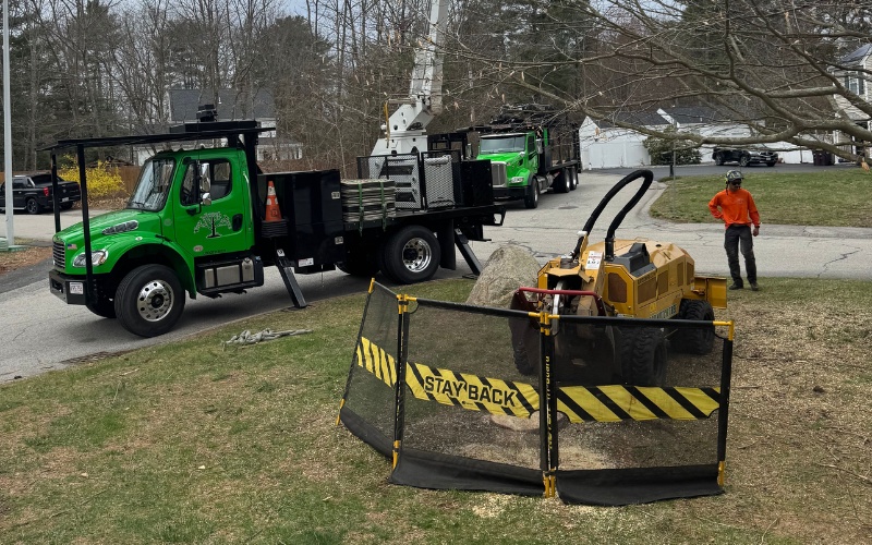 A Top Notch Tree crew working on a residential street with a yellow stump grinder in the foreground and green trucks with crane equipment visible in the background.