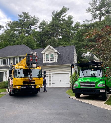 Two of Top Notch Tree's trucks parked in front of a client's house for tree services.