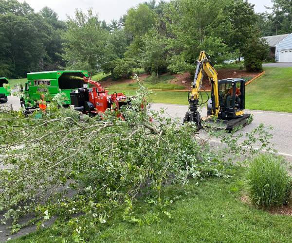 Team of Top Notch Tree professionals clearing some branches on a yard.