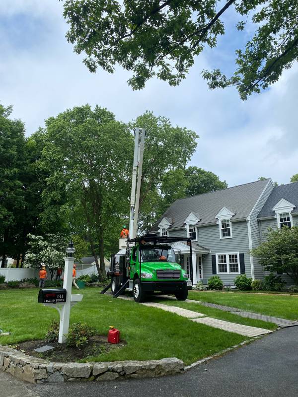 Top Notch Tree's green bucket truck parked in front of a client's home for tree pruning and trimming with the arborists positioned under the tree.