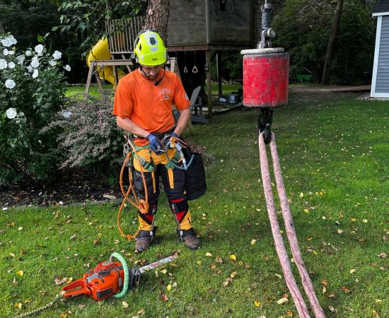 Top Notch Tree arborist preparing for a tree removal with all the safety gear and equipment needed.