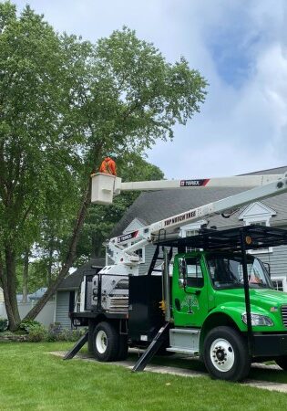 TNT-LSP-section-guy-bucket-truck