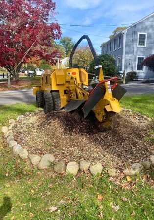 TNT-LSP-section-stump-grinder-house