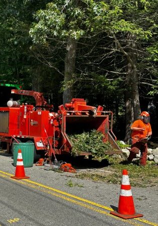 TNT-LSP-section-tree-debris-chipper