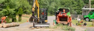 Top Notch Tree crew performing tree removal cleanup in South Shore residential area with a skid steer equipped with a grapple arm, a chipper, a chip truck, and a bucket truck in the background, demonstrating the equipment needed for removal services that impact costs.