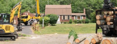 The Top Notch Tree team removing trees from a yard in Cohasset, MA, to prepare for new development.