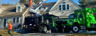 A Top Notch Tree climber works from a bucket truck high above a South Shore home while a ground crew member in high-visibility gear stands near the green TNT bucket truck and chip truck parked in the driveway.