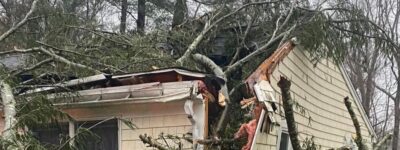 A large evergreen tree has fallen onto a house, splitting through the roof and structure, showing the severe damage that can happen after storms.