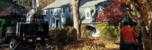 Top Notch Tree crew performing professional tree maintenance near a classic New England colonial home surrounded by vibrant fall foliage in a South Shore Massachusetts neighborhood.