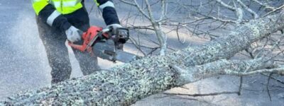 A Top Notch Tree arborist uses a chainsaw to cut fallen tree branches that are blocking a residential street after storm damage.