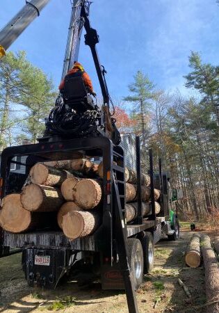 Top Notch Tree truck loaded with multiple tree sections for lot clearing.