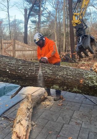 A Top Notch Tree arborist cutting through a big tree trunk to be carried in portions.